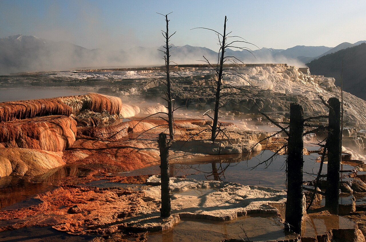 Mammoth Hot Springs: Yellowstone's Ever-Changing Travertine Wonderland